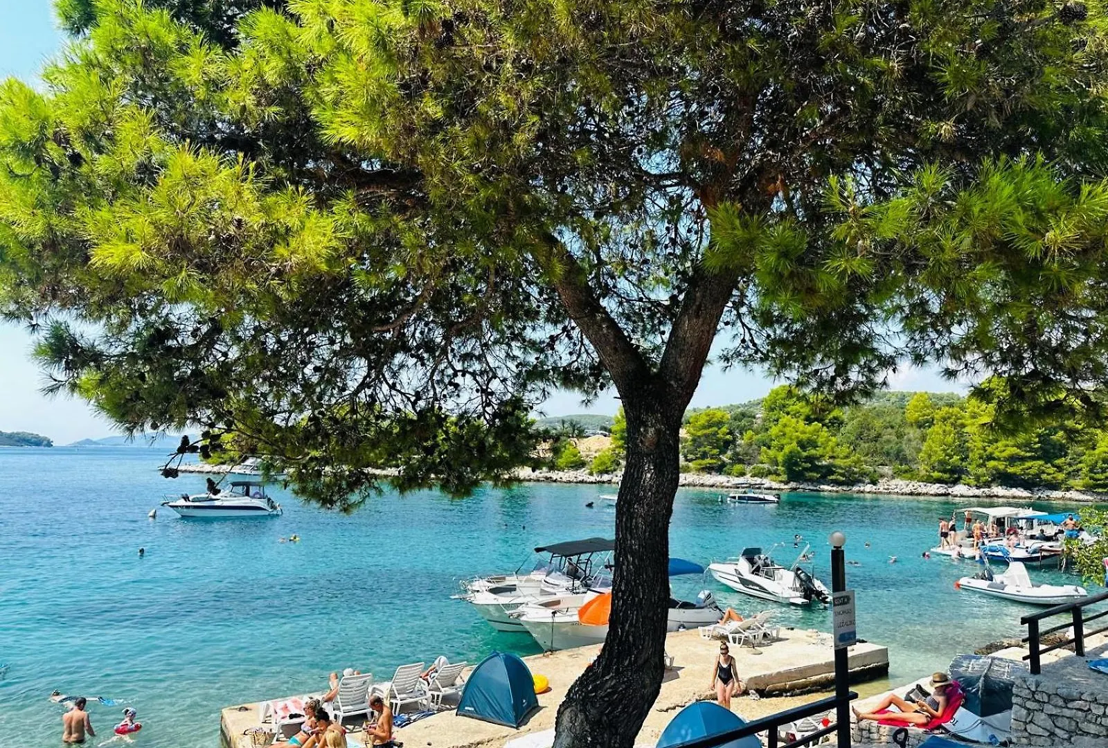 Medusalina-Tramontana Trogir